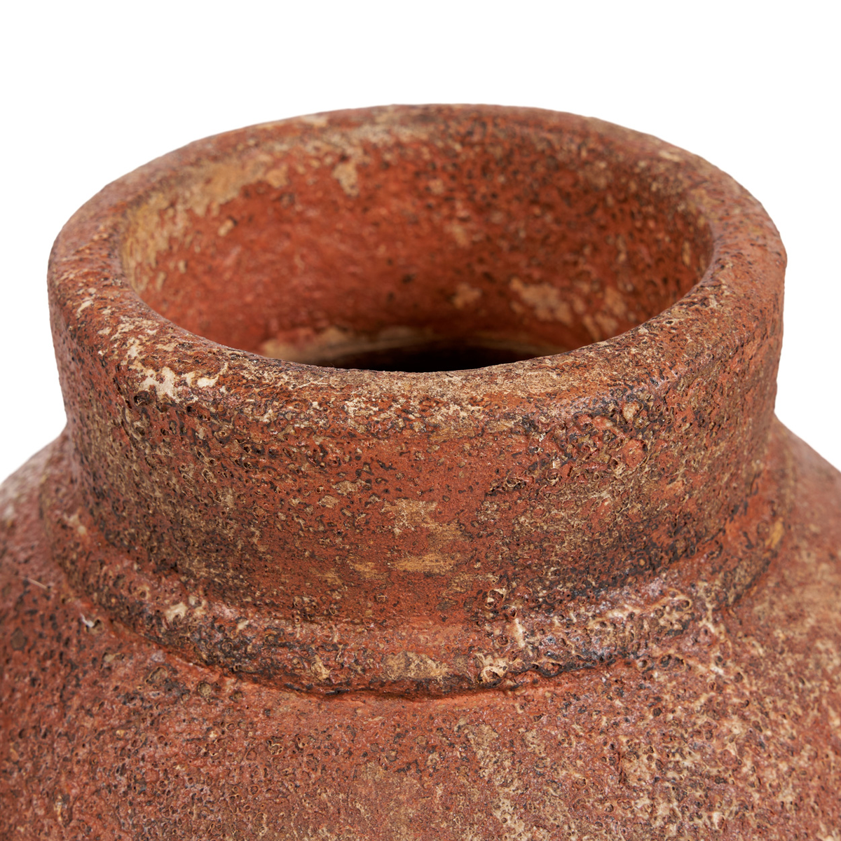 The Amphora Rustica L vaza, molio spalvos