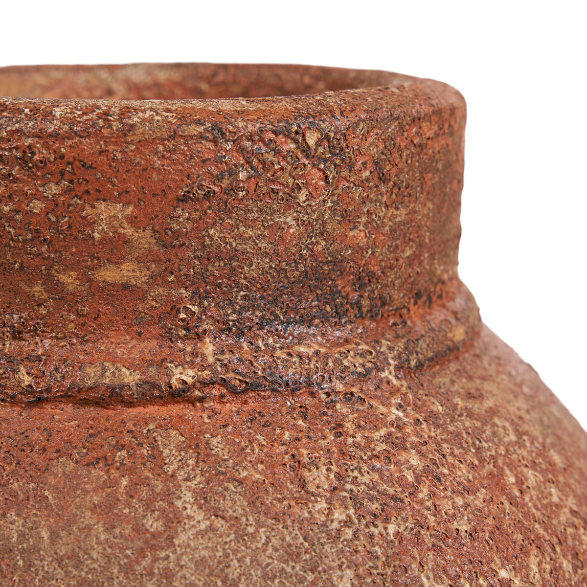 The Amphora Rustica L vaza, molio spalvos